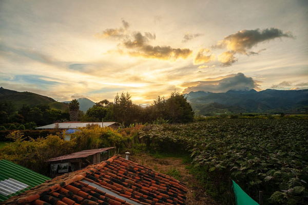 Finca Hotel Las Araucarias