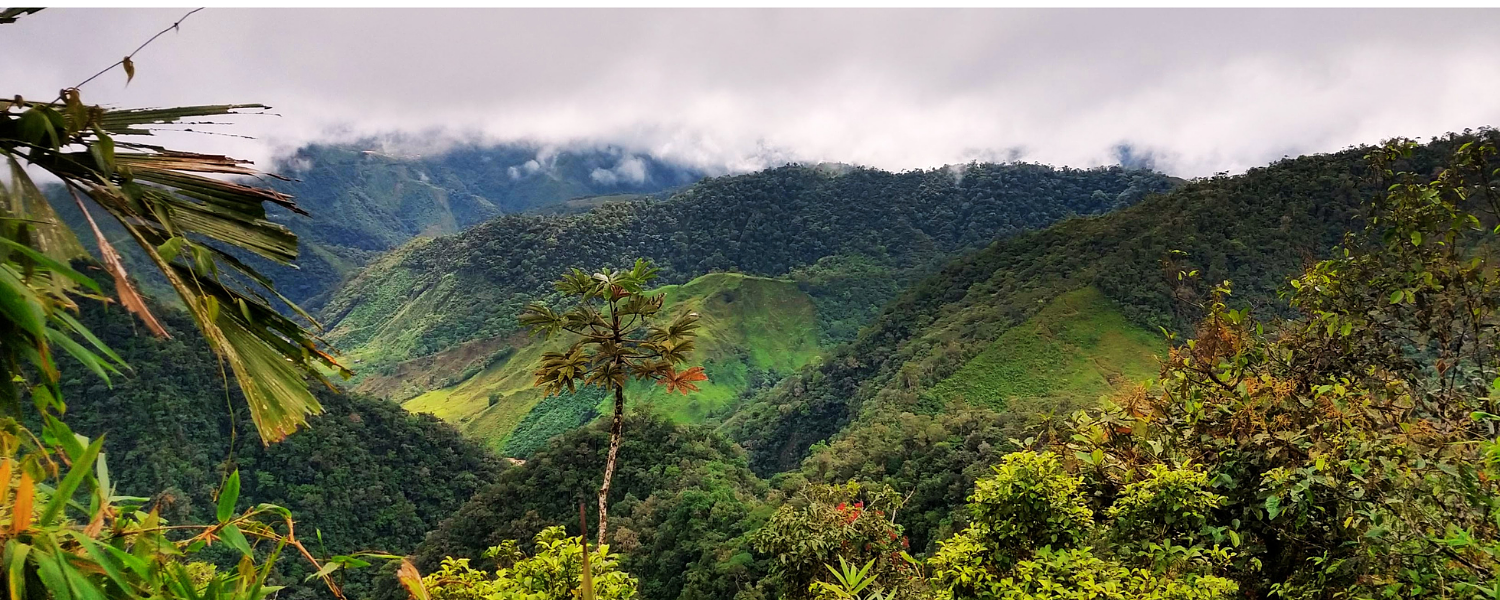 RESPIRA MAGIA,  A TRAVÉS DE SU  EXUBERANTE NATURALEZA 