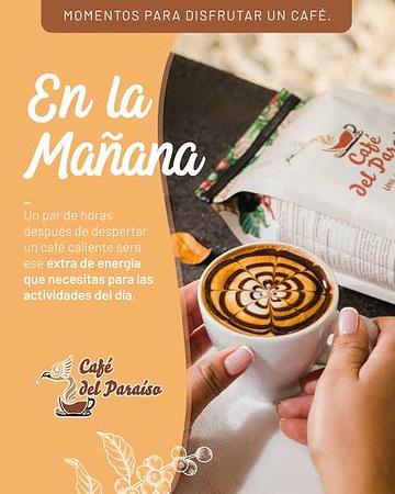 Cafés Especiales Del Paraíso