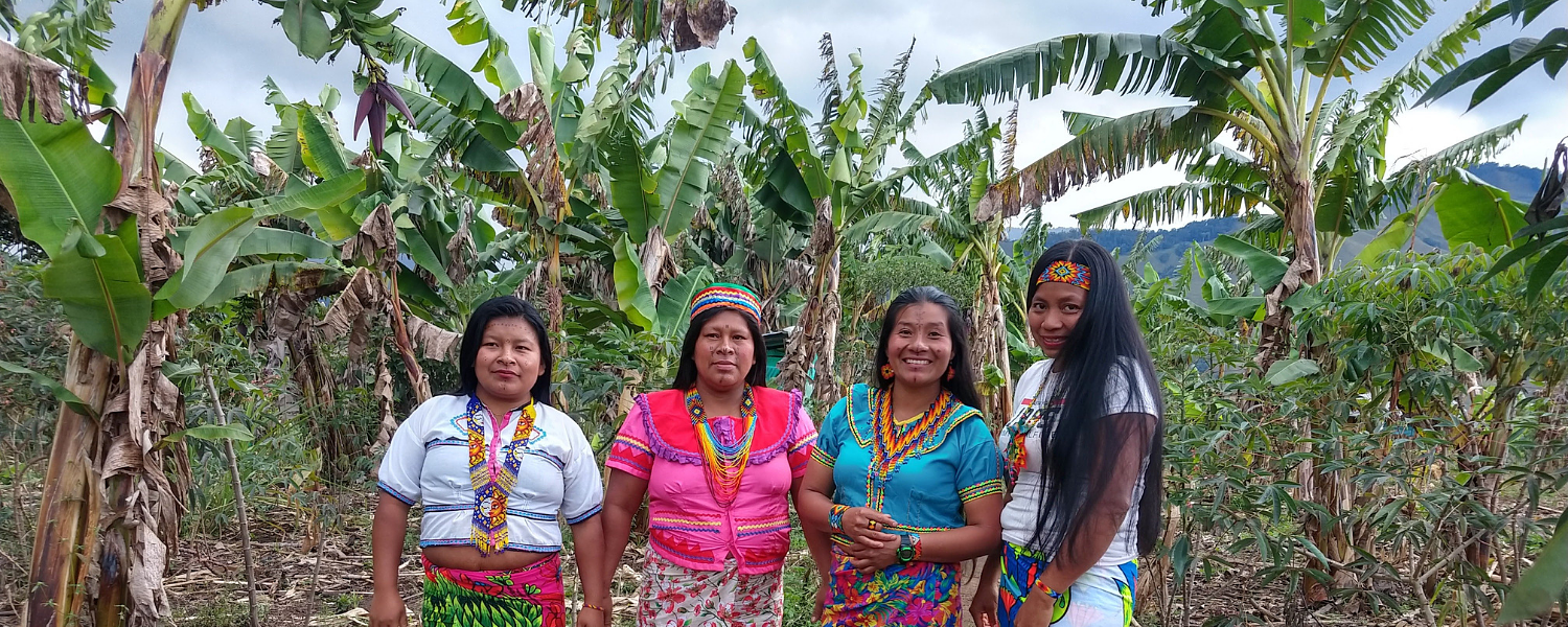 VIVE LA MAGIA DE LAS  COMUNIDADES INDIGENAS